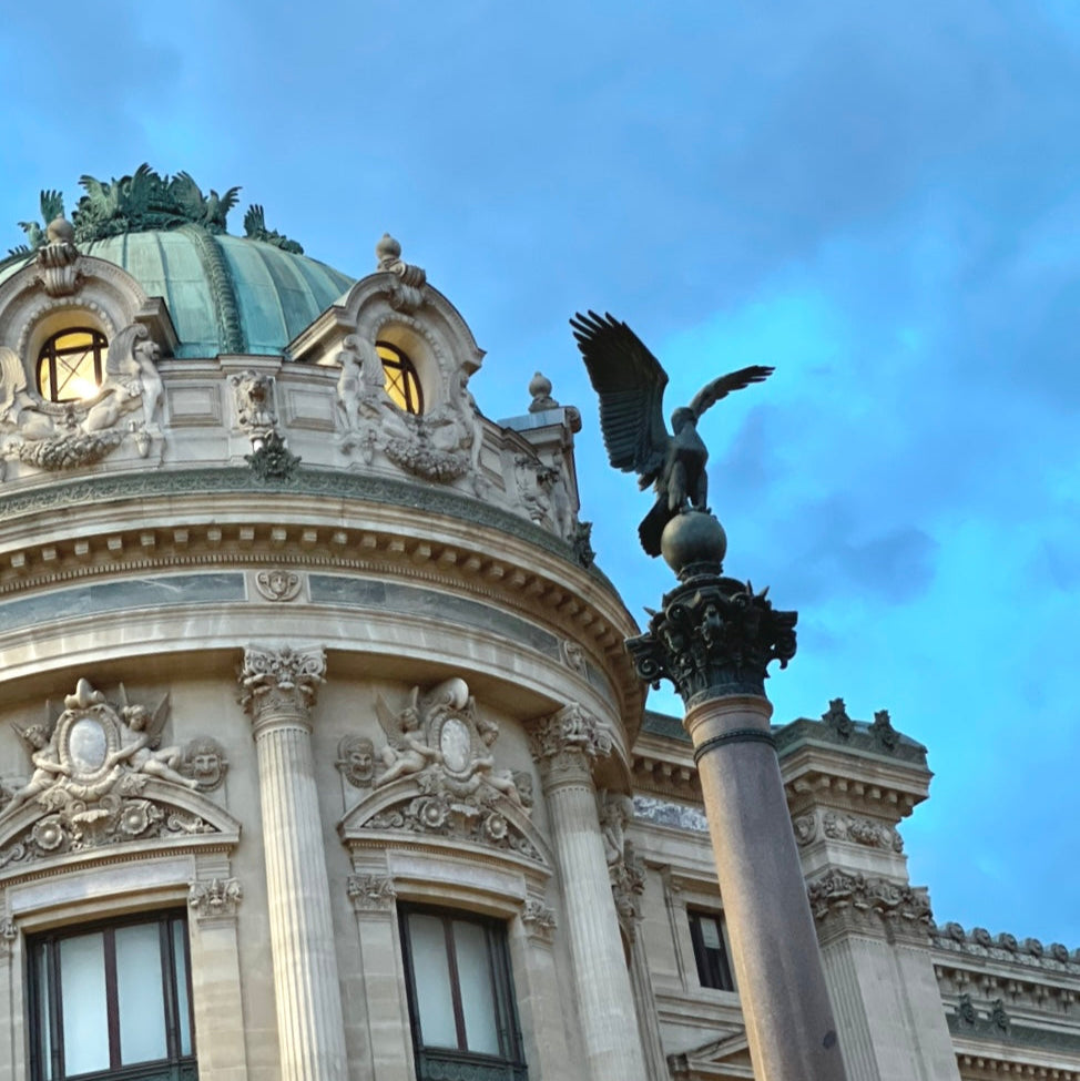 PARIS TO THE AIRPORT: CDG & ORLY, Classe E