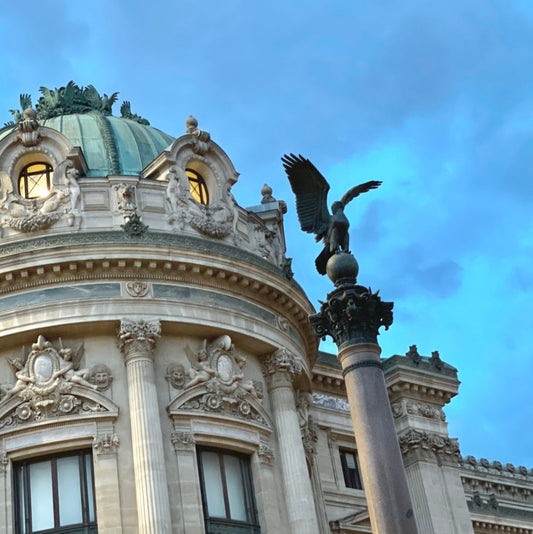 PARIS TO THE AIRPORT: CDG & ORLY, Classe E