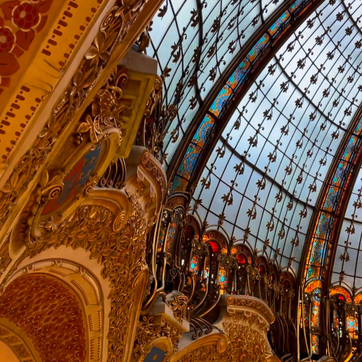 PARIS TO THE AIRPORT: CDG & ORLY, Classe V